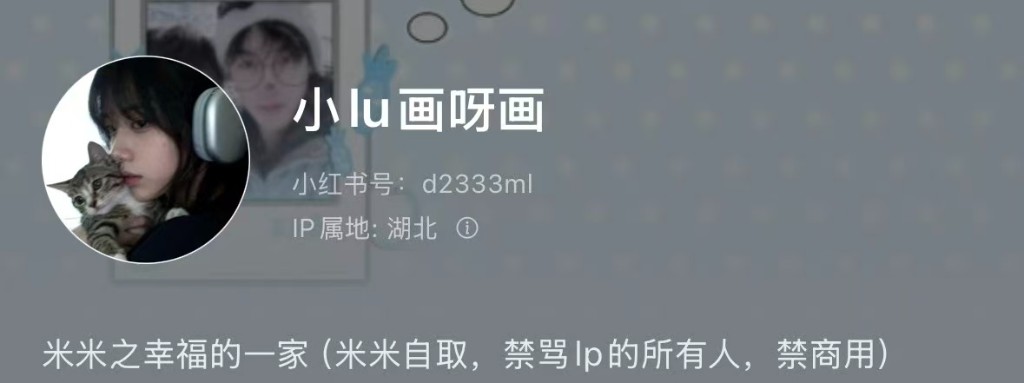 小lu画呀画 小红书主页预览